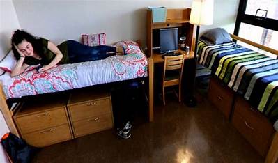 A Visual Tour of Greiner Hall: Inside Ub's Award-Winning Residence Complex