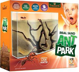 Are Ant Farms Cruel? Examining the Survival Rates, Legal Bans, and Ethical Sourcing of Live Ants