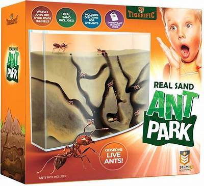 Are Ant Farms Cruel? Examining the Survival Rates, Legal Bans, and Ethical Sourcing of Live Ants