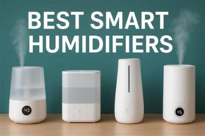 Best Humidifier from Walgreens (2026 Buying Guide): Vicks, Pure, or Store Brand?