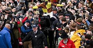 Can You Truly Win Every Race in Bitlife? Mechanics and Myths Debunked