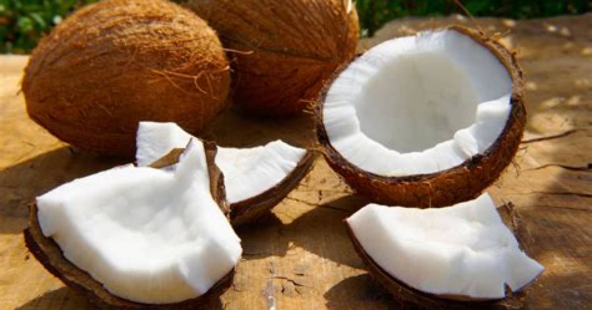 Coconut