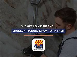 Complete Shower Leak Guide: Lessons from the Viral Mold and Bracing Fix