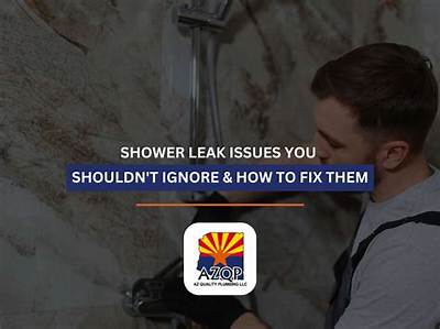 Complete Shower Leak Guide: Lessons from the Viral Mold and Bracing Fix