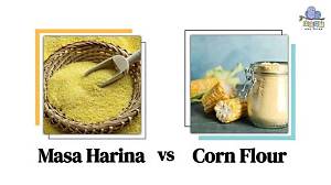 Corn Husk vs Masa: Visual Proof of How to Eat Tamales Properly