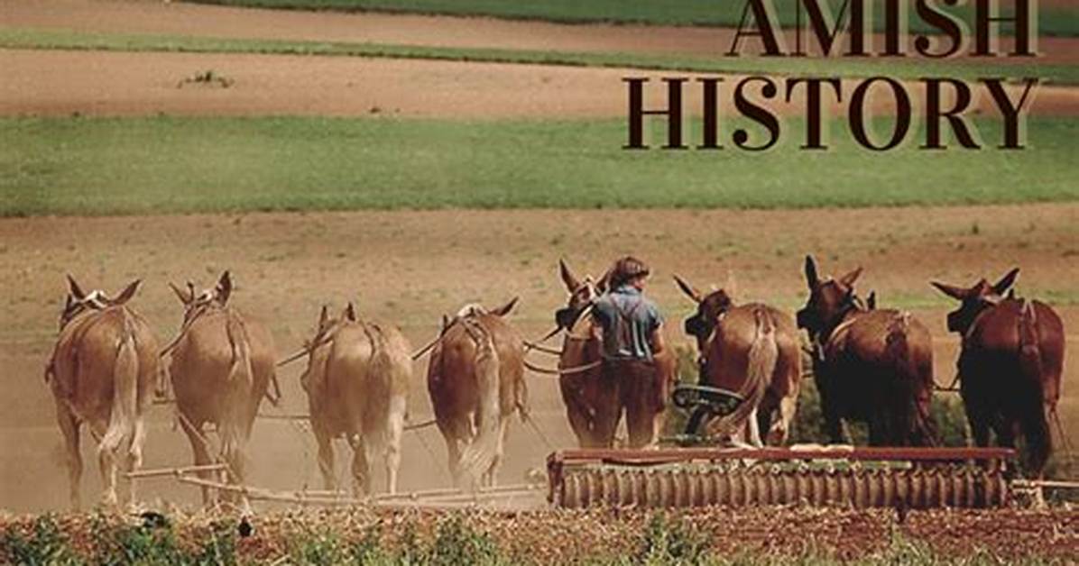 Everything You Need to Know About 'Amish Stud: the Eli Weaver Story' on Streaming