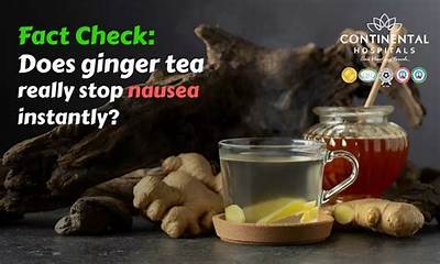 Fact Check: Does Putting Tea Leaves in Houseplants Actually Work?