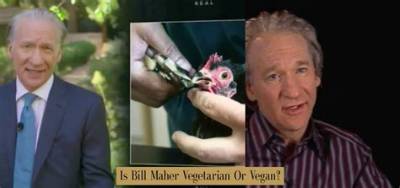 Fact Check: Is Bill Maher a Vegan or Just an Unapologetic Animal Advocate?