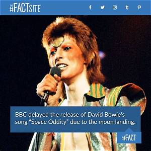 Fact-Checking David Bowie's Pronouns: Between 70S Queerness and Modern Labels