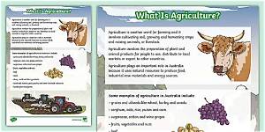 Fact-Checking the Definition of Agriculture: What Counts and What Doesn't?