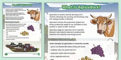 Fact-Checking the Definition of Agriculture: What Counts and What Doesn't?