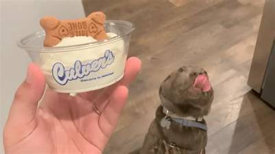 Fast Food Chains Expand Dog Treat Menus in 2026: Where Does Mcdonald's Stand?