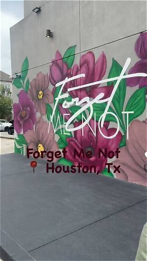 Forget Me Not Houston Event Guide: What to Know Before Visiting Washington Avenue