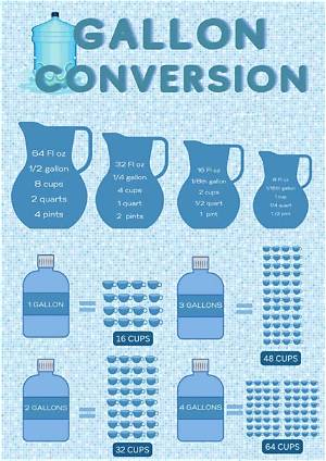 Gallon Pitcher Breakdown: Visual Measurement Chart for Standard Vs. Family-Sized Bags