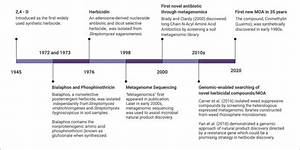 Herbicide Chemical Outbreak Timeline: How School Spraying Triggered Health Alarms