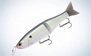 How to Fish the Rex Glide Bait: Complete Rod, Reel, and Retrieve Masterclass