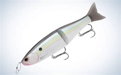 How to Fish the Rex Glide Bait: Complete Rod, Reel, and Retrieve Masterclass