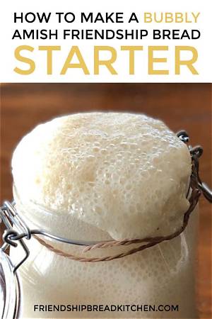 How to Make Amish Friendship Bread Starter from Scratch: Ingredients, Faq & Recipes