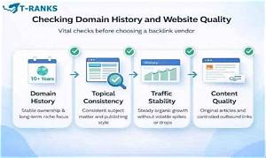 Inside Cutieclaire. Com: Website Domain History and Digital Footprint Examined
