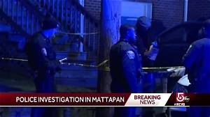Inside the Mattapan Crime Scene: What Police Found at the Scene of Yoseliani Marte Ocasio's Death