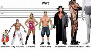 Is the Undertaker Really 6-Foot-10? the Truth About Mark Calaway's Real Height