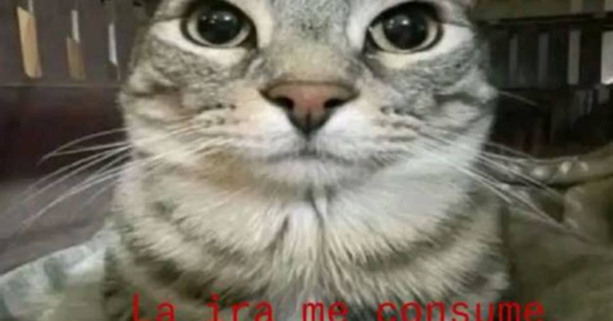 La Ira Me