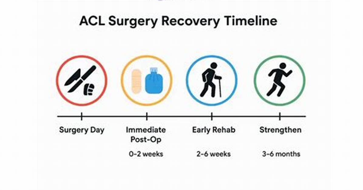 Lacy Acl Injury Explained: Recovery Timeline, Surgery, and Career Outlook