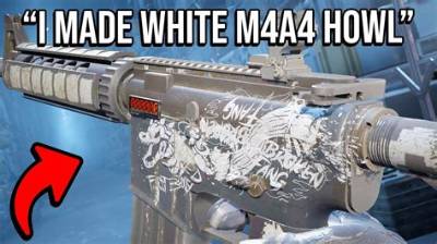 M4A4 Winter Howl Explained: Origin, Best Real Frost Skins in Cs2, and Collector Faq