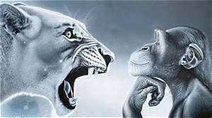 Monkey vs Lion Visual Breakdown: Real Encounters vs Stunning Primate Species