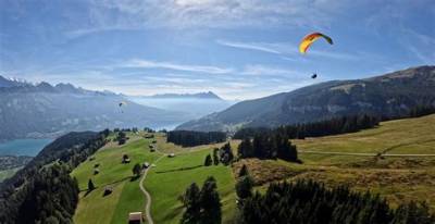 Paragliding in Interlaken: Safety Risks, Emergency Protocols, and Viral Accidents