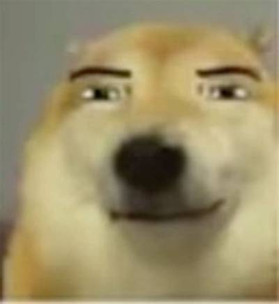 Smirking Dog Meme Guide: Original Source, Best Uses, and Downloadable Templates