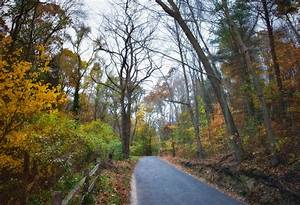 Sweet Hollow Road Today: Community Preservation, Safety Alerts, and Local News