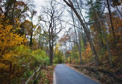 Sweet Hollow Road Today: Community Preservation, Safety Alerts, and Local News