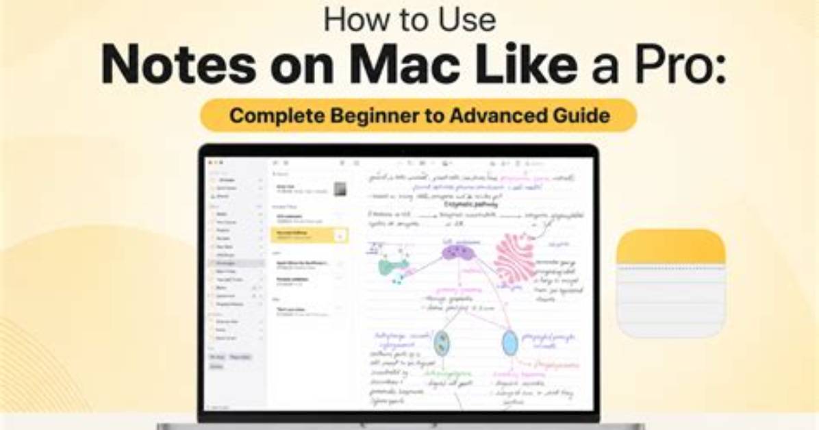 The Evolution of Notes on Mac: from Classic Stickies to Interactive Widgets