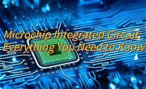 The Microchip Era Explained: Everything You Need to Know About Silicon's New Frontier