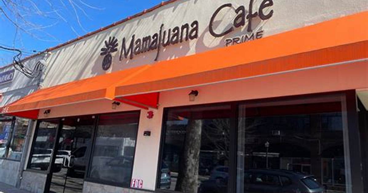 The Visual Evolution of Mamajuana Cafe Hartsdale: from Grand Opening to Dining Staple