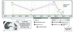 Timeline of a Viral Spike: How Five Words Captured the Internet's Collective Anxiety