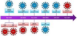 Timeline of a Viral Spike: How Provocative Search Queries Snowball Across the Web in Real Time