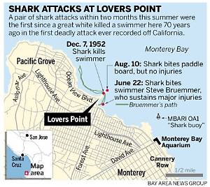 Visiting Lovers Point Beach: Current Closures, Shark Alerts, and Swimming Rules
