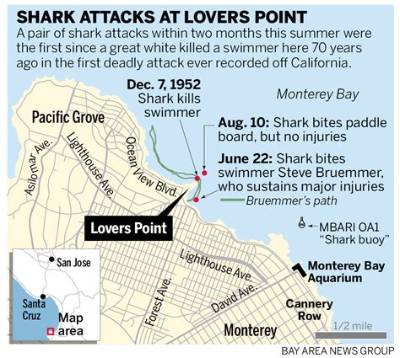 Visiting Lovers Point Beach: Current Closures, Shark Alerts, and Swimming Rules
