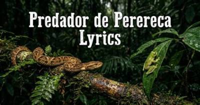 What Does 'Predador De Perereca' Really Mean? Shocking Tiktok Song Lyrics Translated