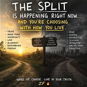 What Is Actually Live Now? Sorting out Wilderness Bound vs Upcoming Additions
