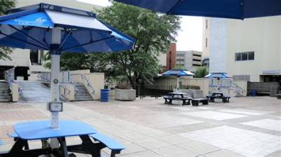 What Programs Are in the Gsu Urban Life Building? a Complete Department Breakdown
