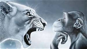 Where Did the 'Monkey Rage Baiting Lion' Meme Come from? the Viral Origin Revealed