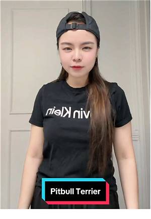 Why the Pitbull Terrier Trend on Tiktok Is Sparking Urgent Safety Warnings