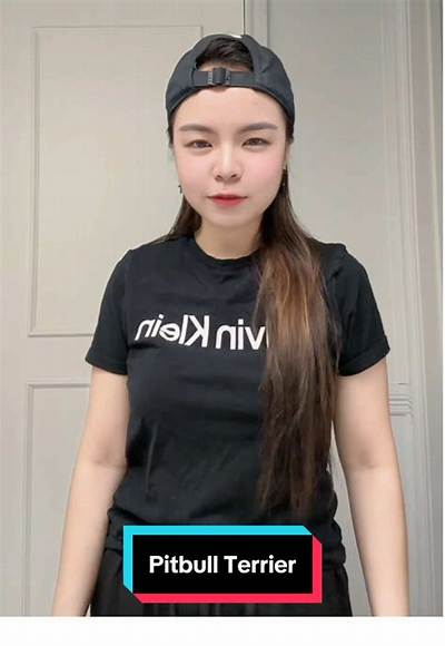 Why the Pitbull Terrier Trend on Tiktok Is Sparking Urgent Safety Warnings